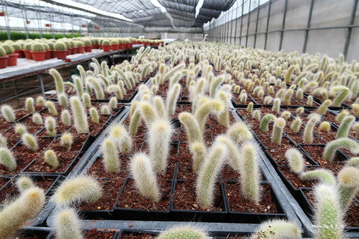 IMG_2564_調整大小.jpg IMG_2564_調整大小.jpg