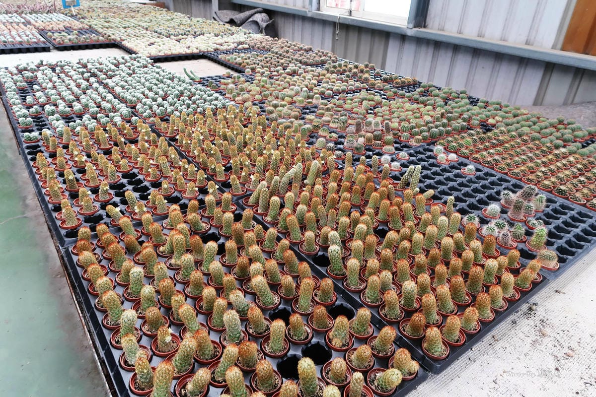 IMG_2542_調整大小.jpg IMG_2542_調整大小.jpg