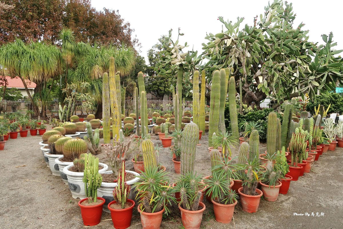 IMG_2571_調整大小.jpg IMG_2571_調整大小.jpg