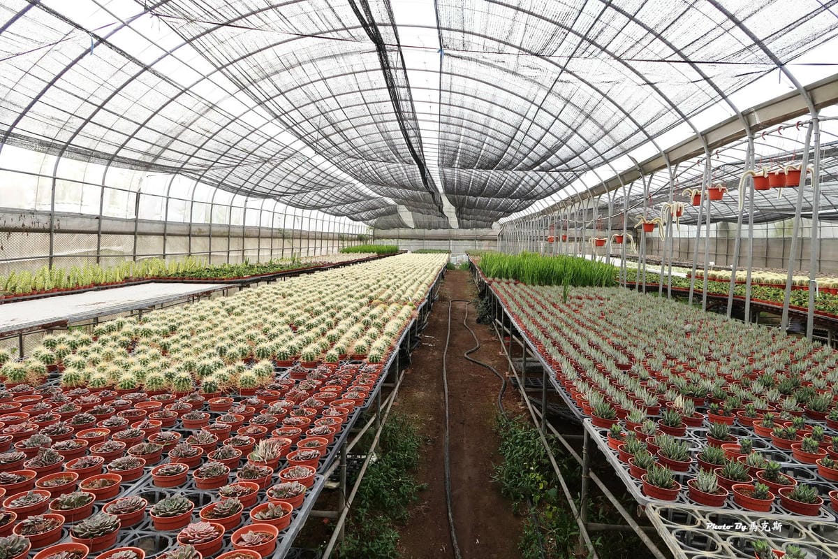 IMG_2555_調整大小.jpg IMG_2555_調整大小.jpg