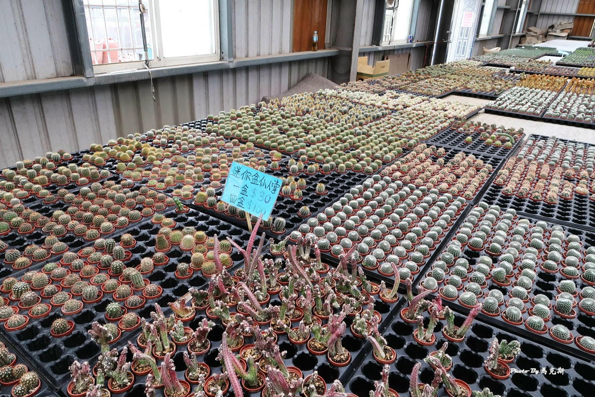 IMG_2539_調整大小.jpg IMG_2539_調整大小.jpg