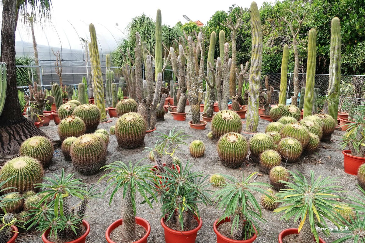 IMG_2577_調整大小.jpg IMG_2577_調整大小.jpg