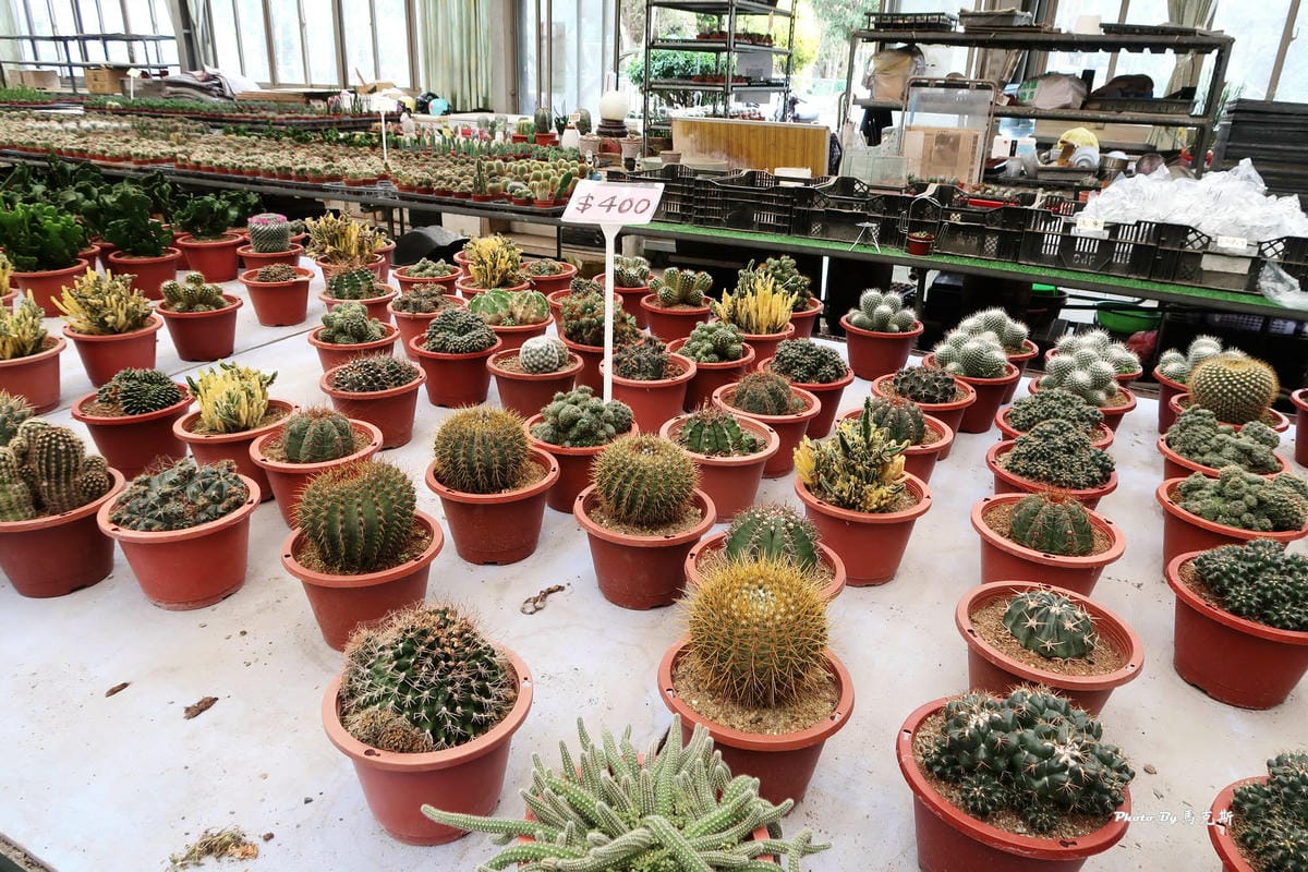 IMG_2548_調整大小.jpg IMG_2548_調整大小.jpg