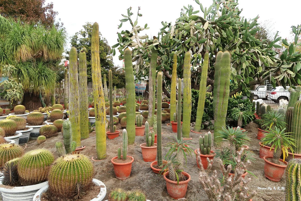 IMG_2574_調整大小.jpg IMG_2574_調整大小.jpg