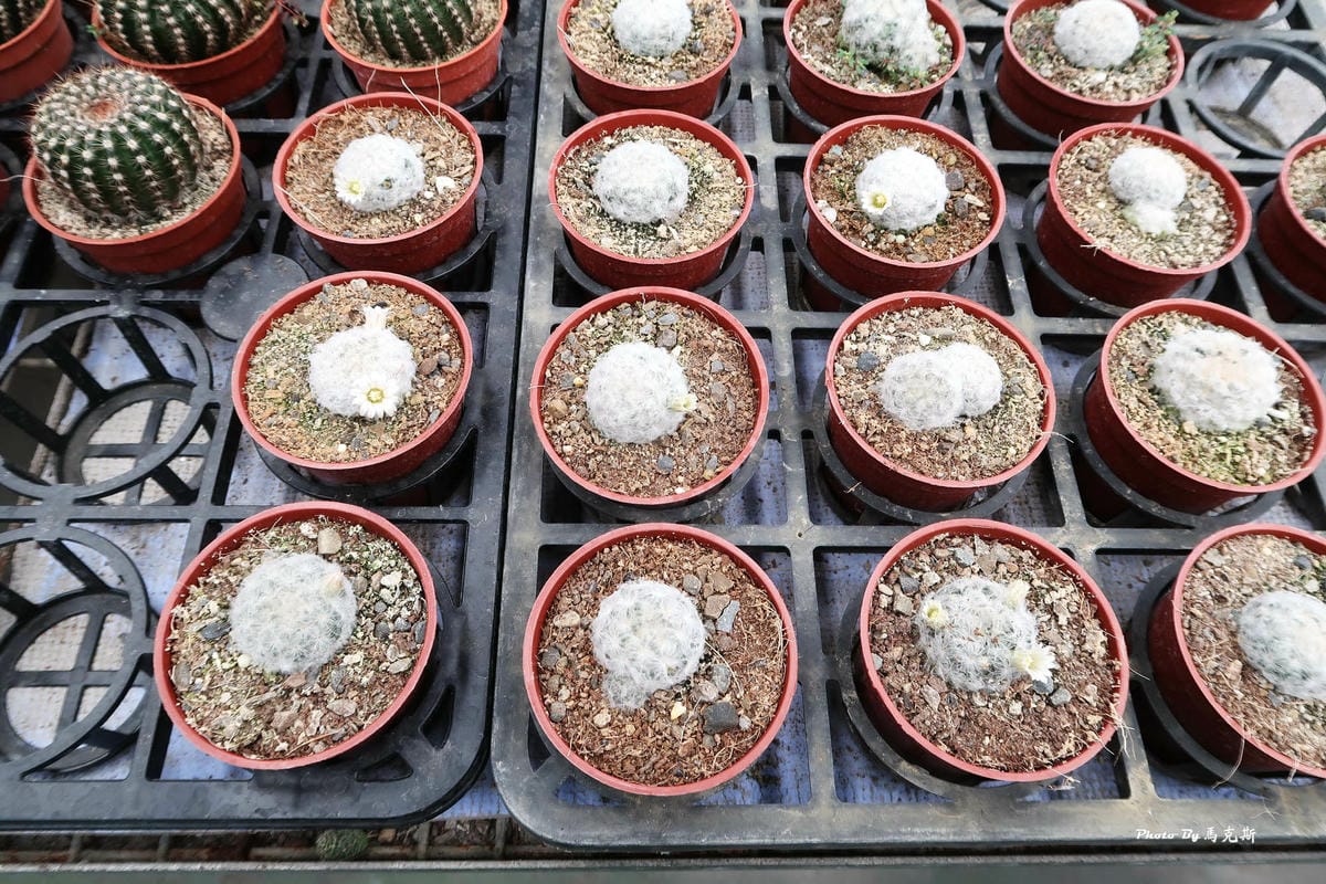 IMG_2537_調整大小.jpg IMG_2537_調整大小.jpg