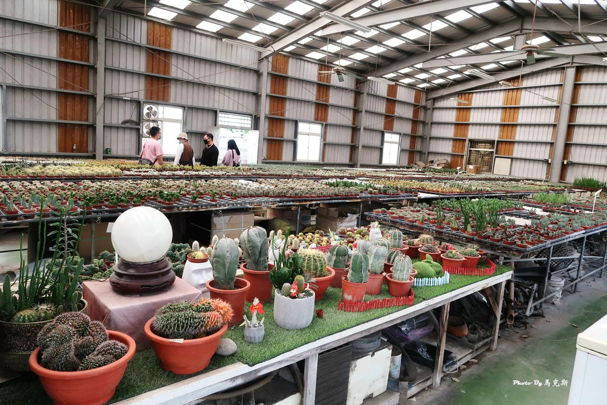 IMG_2521_調整大小.jpg IMG_2521_調整大小.jpg