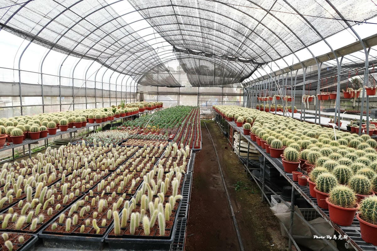 IMG_2558_調整大小.jpg IMG_2558_調整大小.jpg