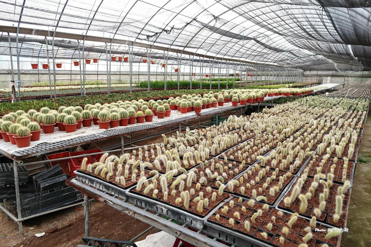 IMG_2561_調整大小.jpg IMG_2561_調整大小.jpg