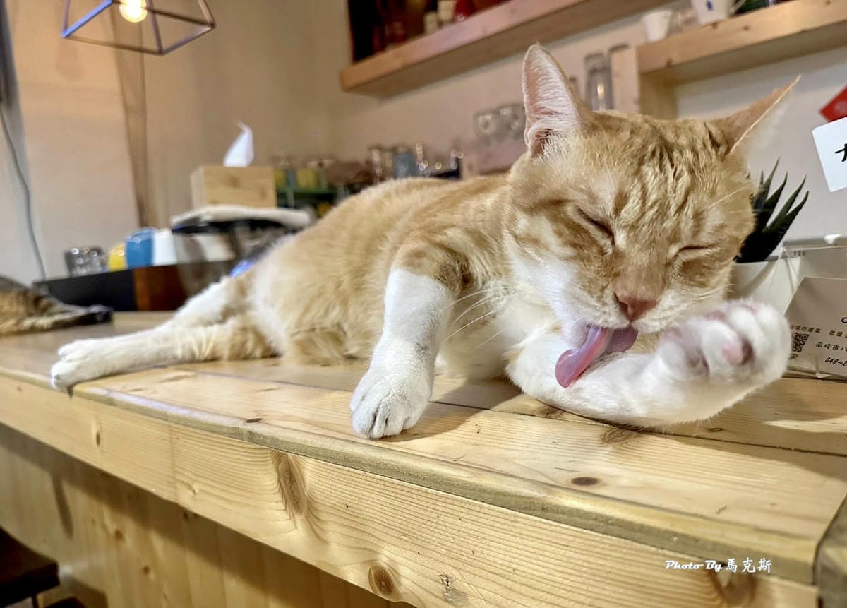 IMG_8784_調整大小.jpg IMG_8784_調整大小.jpg