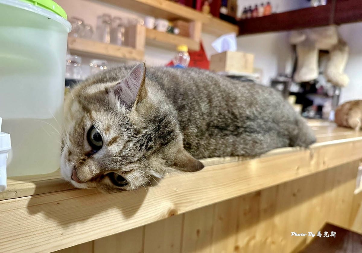 IMG_8786_調整大小.jpg IMG_8786_調整大小.jpg