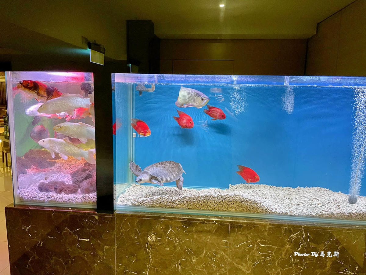 IMG_3357_調整大小.jpg IMG_3357_調整大小.jpg