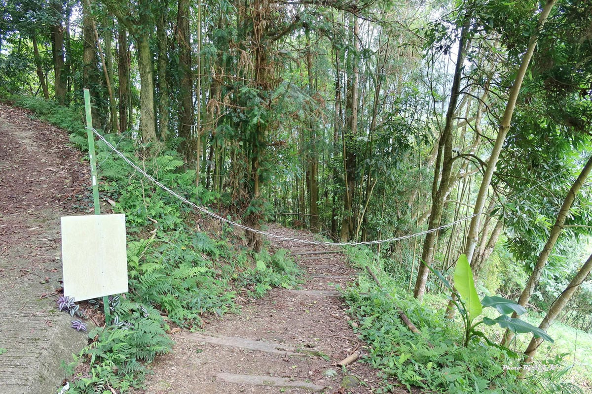 IMG_5847_調整大小.jpg IMG_5847_調整大小.jpg