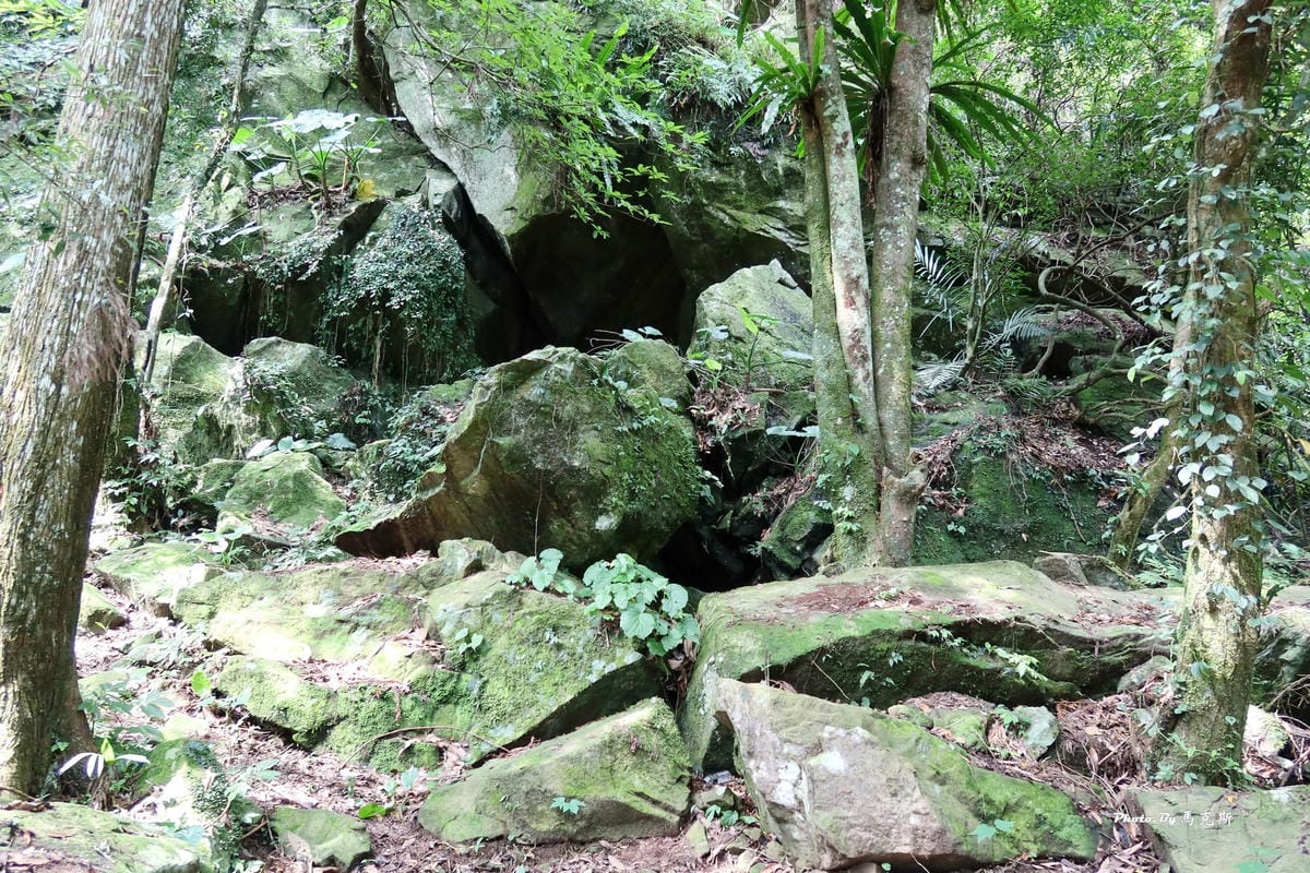 IMG_5851_調整大小.jpg IMG_5851_調整大小.jpg