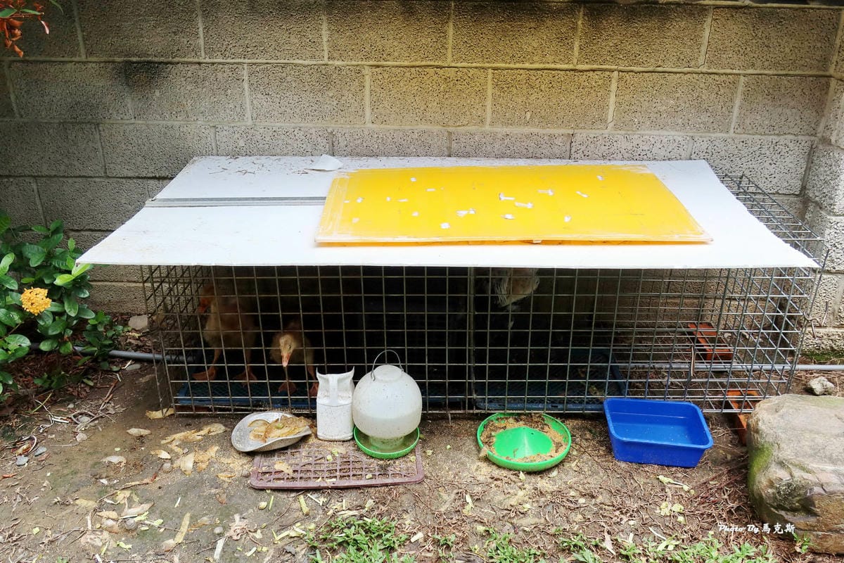 IMG_6936_調整大小.jpg IMG_6936_調整大小.jpg