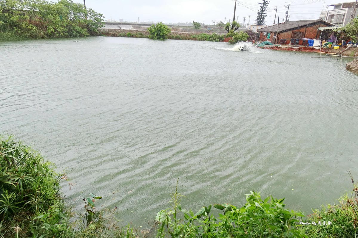 IMG_7133_調整大小.jpg IMG_7133_調整大小.jpg