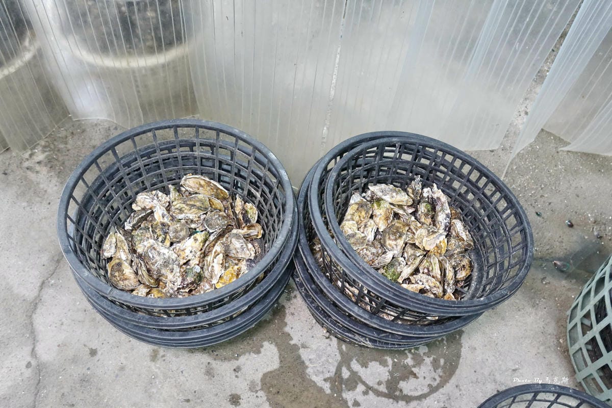 IMG_7169_調整大小.jpg IMG_7169_調整大小.jpg