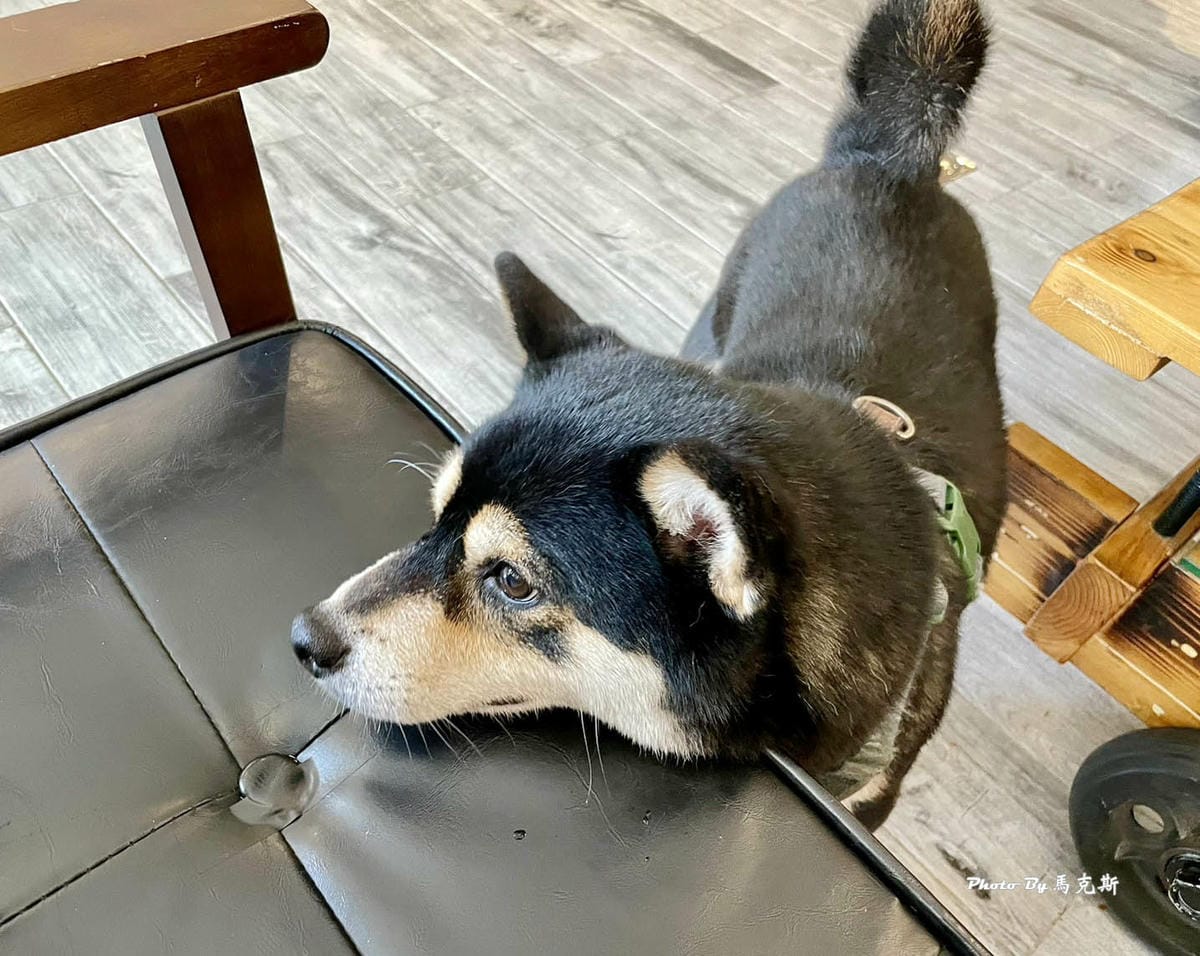 IMG_7390_調整大小.jpg IMG_7390_調整大小.jpg