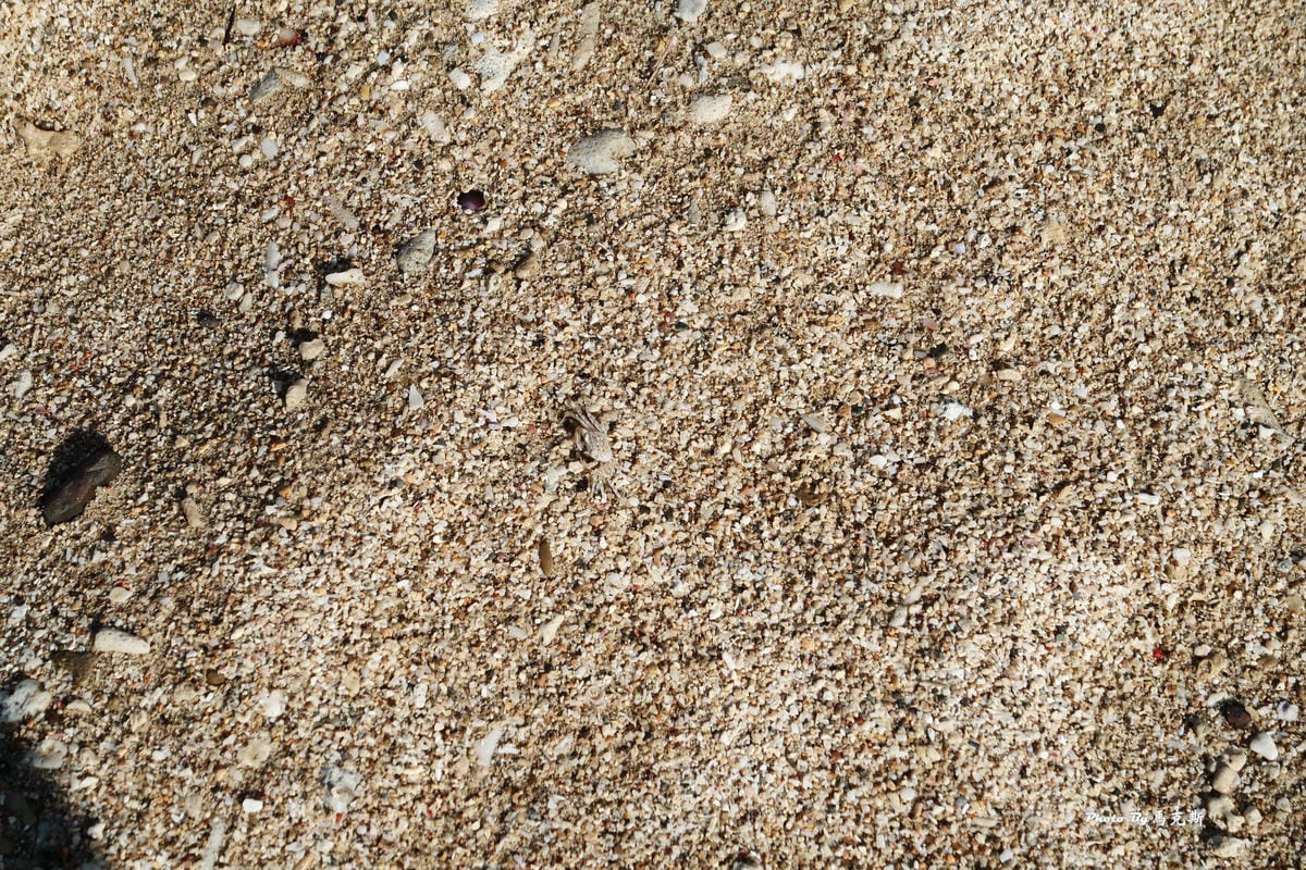 IMG_0285_調整大小.jpg IMG_0285_調整大小.jpg