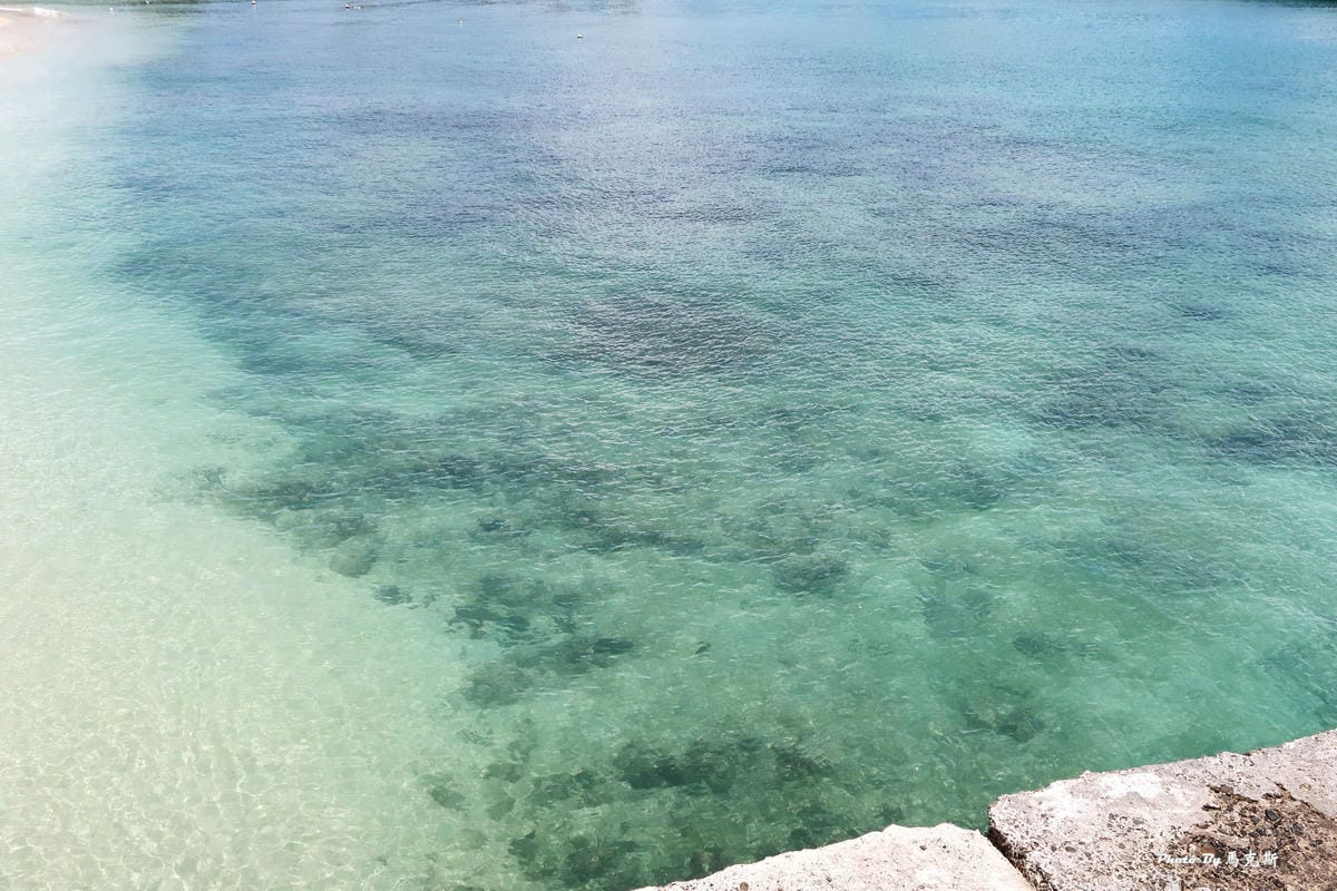 IMG_0225_調整大小.jpg IMG_0225_調整大小.jpg