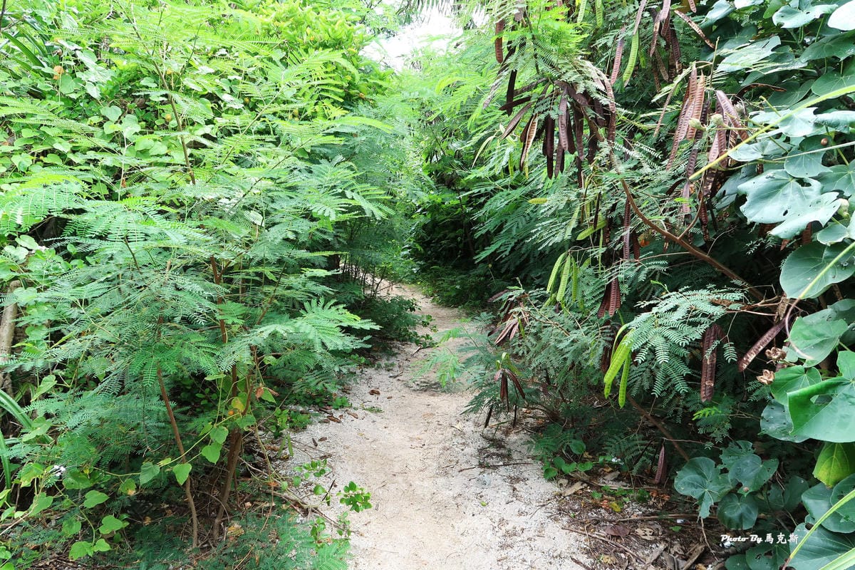 IMG_0230_調整大小.jpg IMG_0230_調整大小.jpg