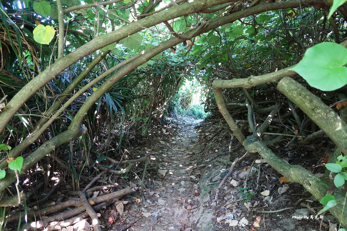 IMG_0243_調整大小.jpg IMG_0243_調整大小.jpg