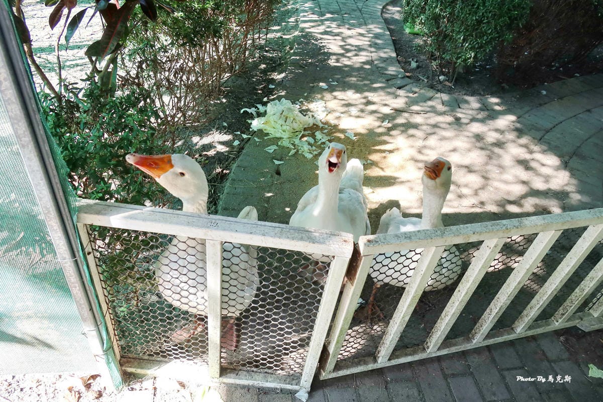 IMG_7536_調整大小.jpg IMG_7536_調整大小.jpg