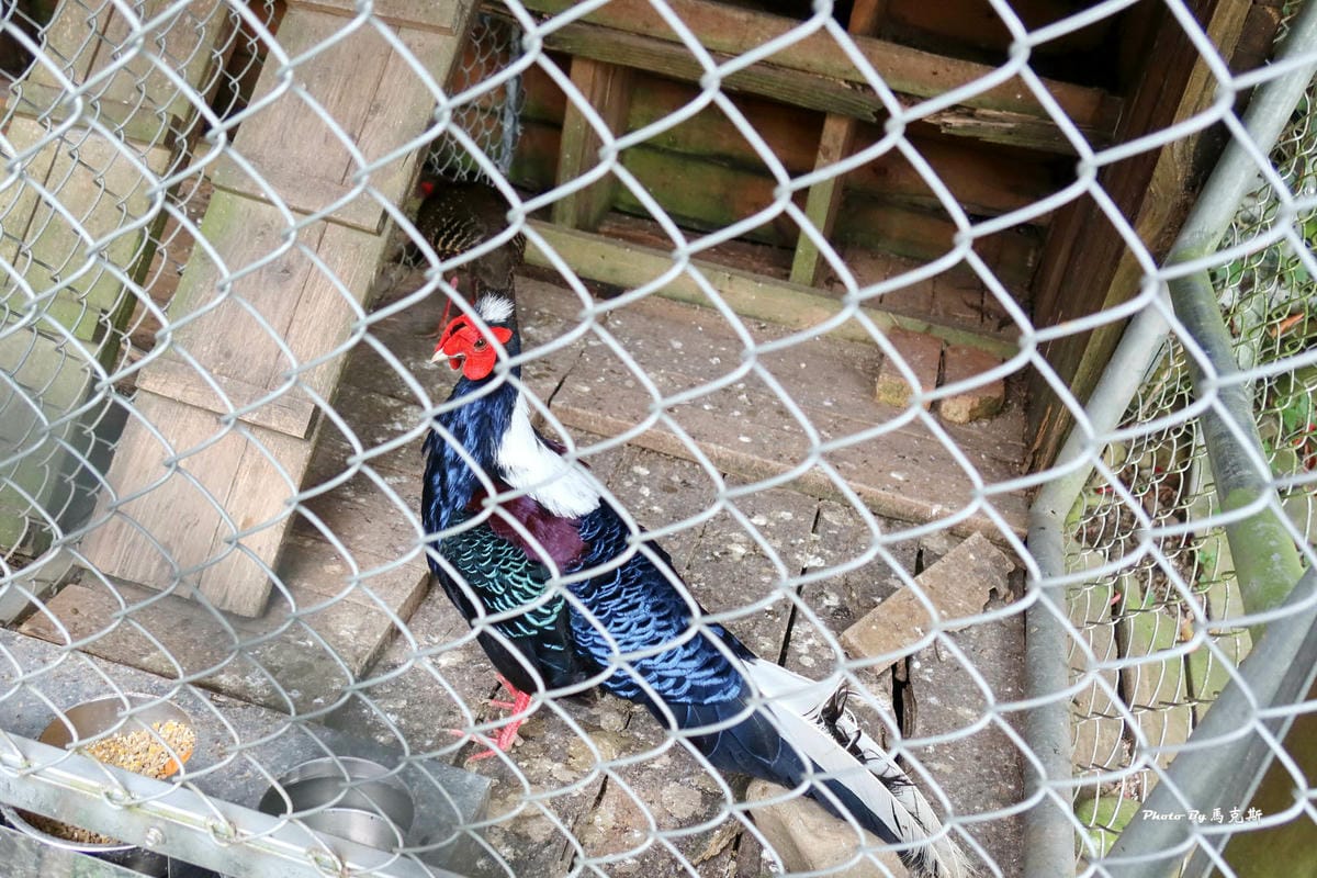 IMG_9362_調整大小.jpg IMG_9362_調整大小.jpg