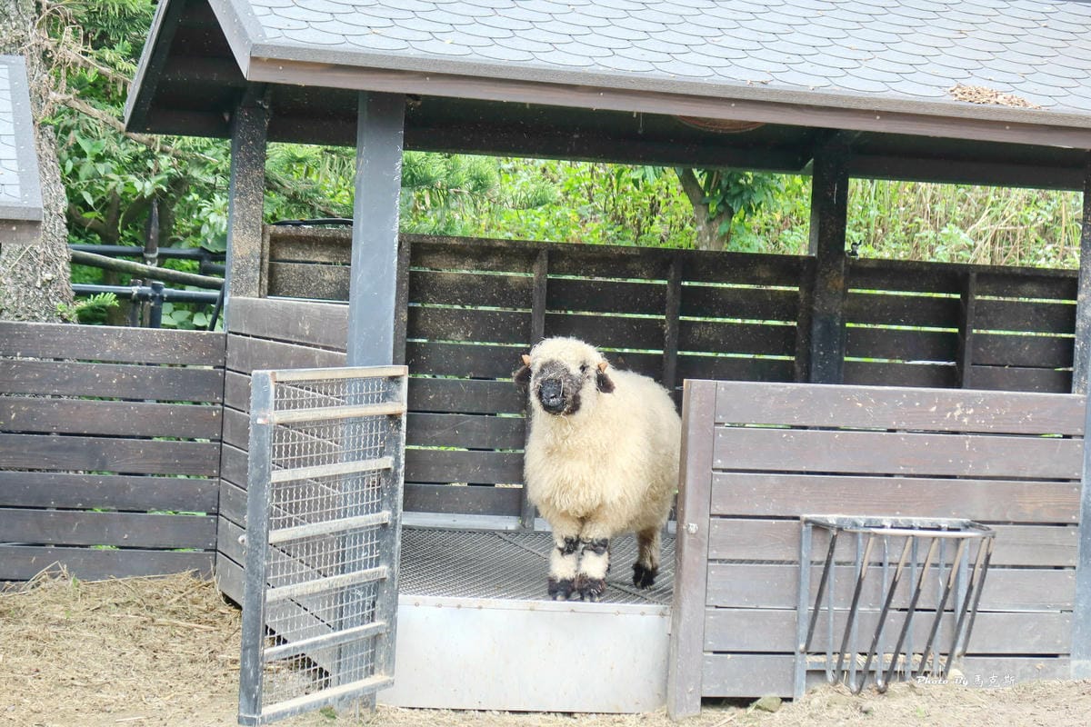 IMG_9374_調整大小.jpg IMG_9374_調整大小.jpg