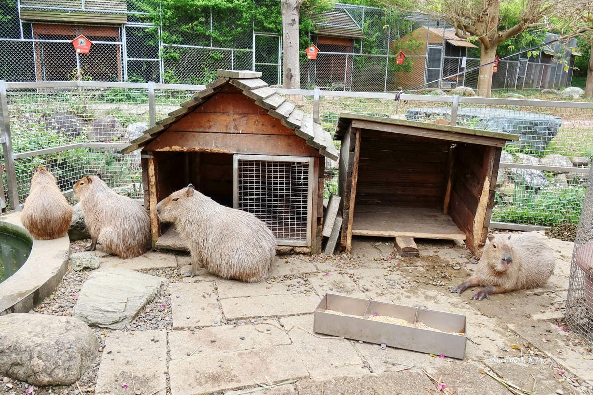 IMG_9364_調整大小.jpg IMG_9364_調整大小.jpg