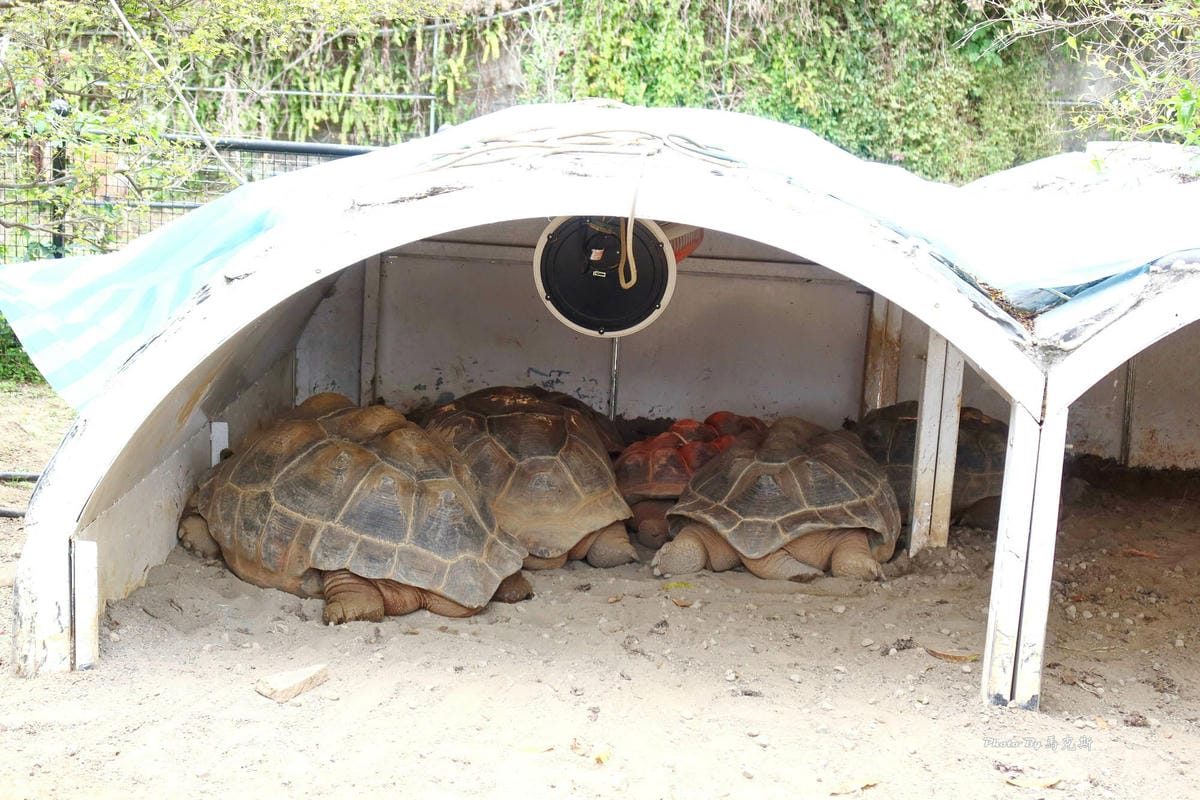 IMG_9413_調整大小.jpg IMG_9413_調整大小.jpg