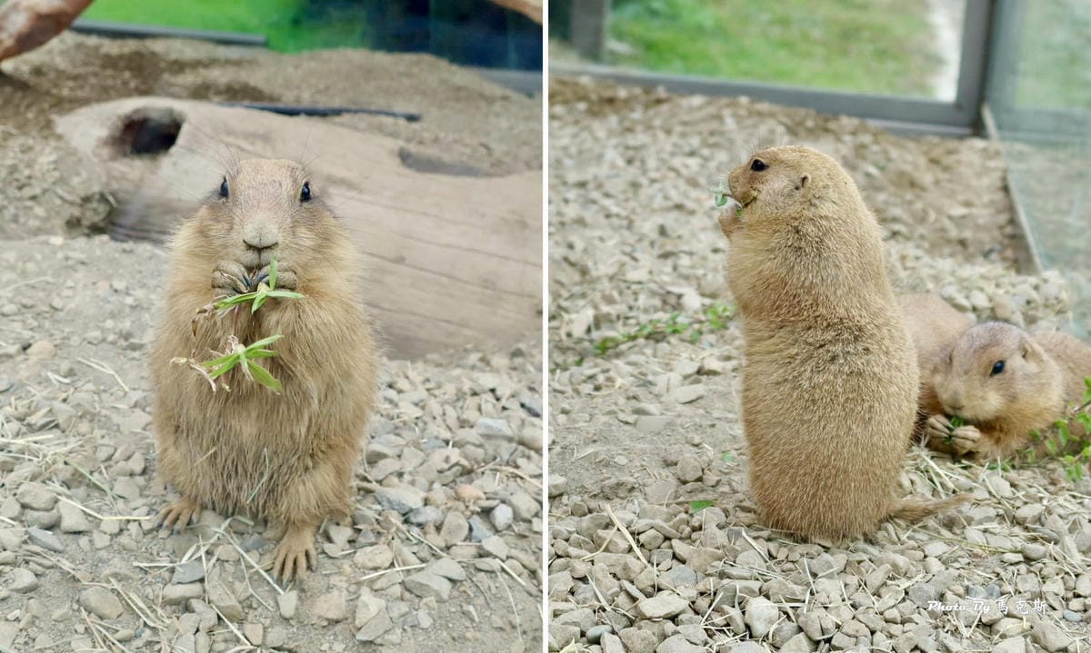 IMG_9377_調整大小.jpg IMG_9377_調整大小.jpg