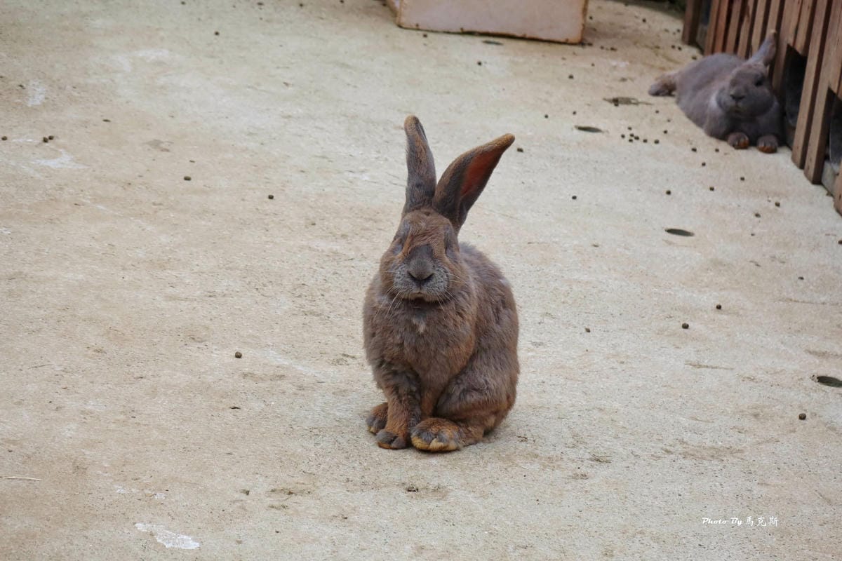 IMG_9408_調整大小.jpg IMG_9408_調整大小.jpg