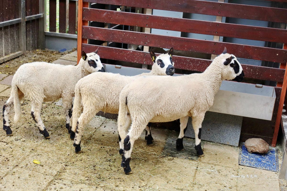 IMG_9390_調整大小.jpg IMG_9390_調整大小.jpg