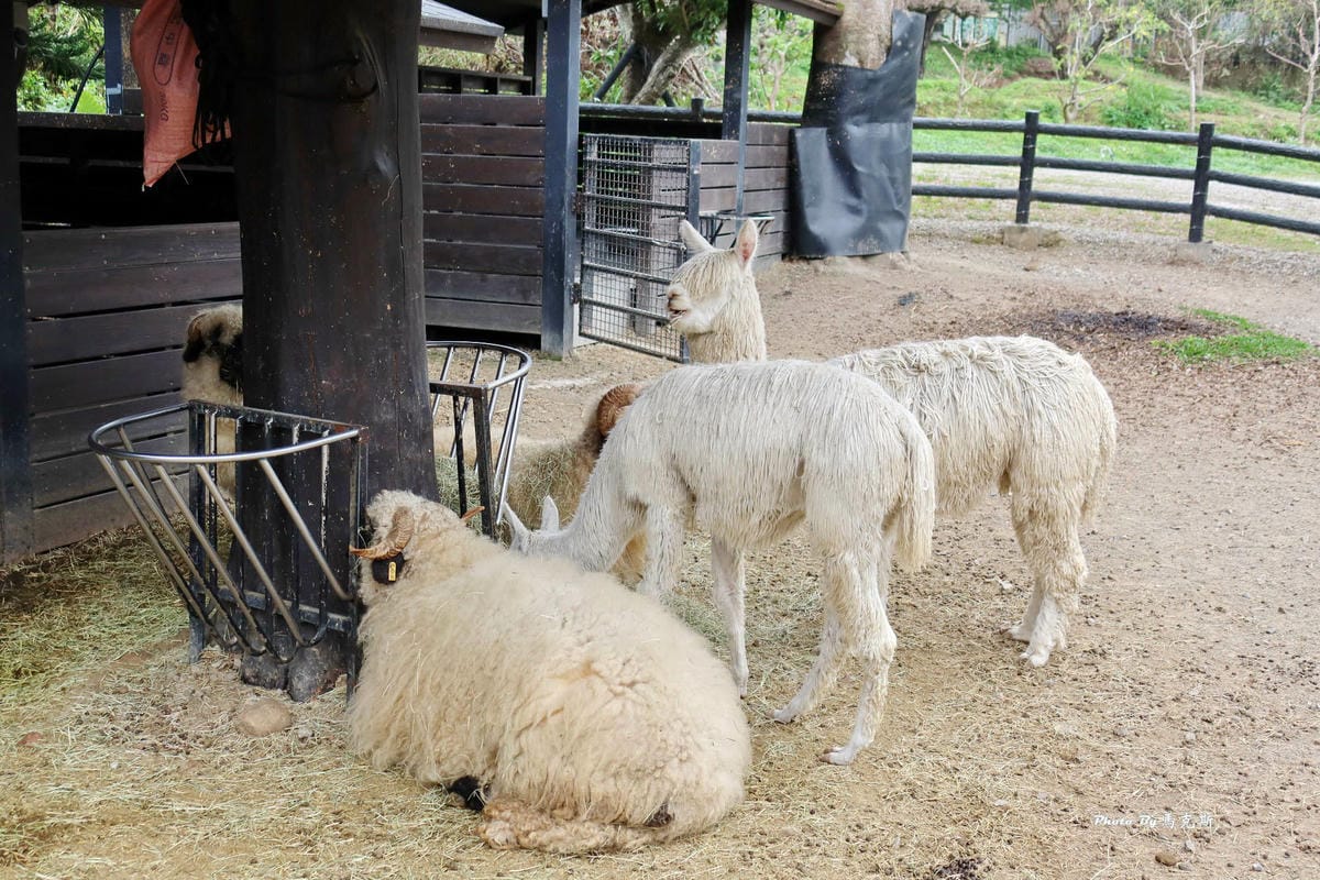 IMG_9372_調整大小.jpg IMG_9372_調整大小.jpg