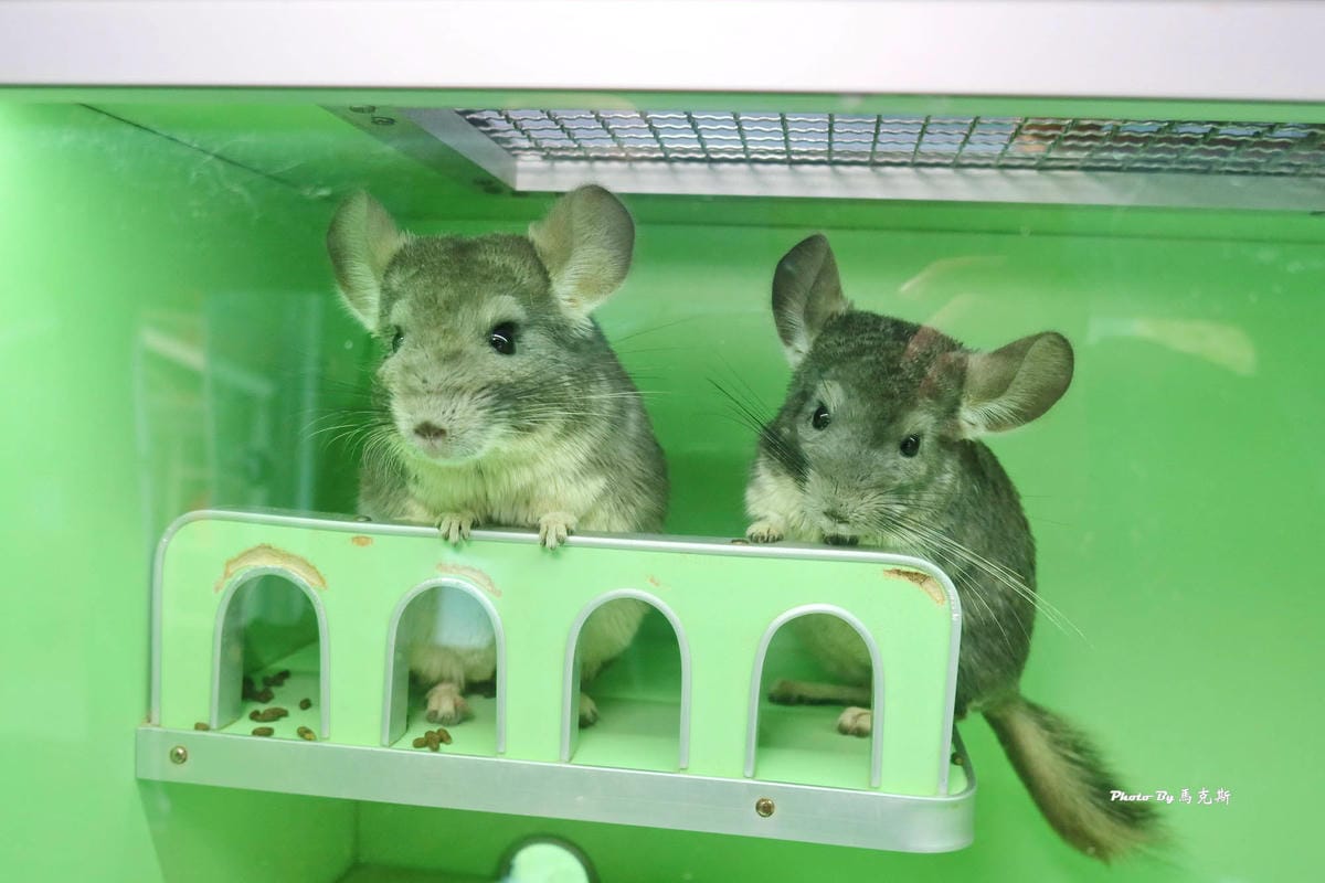 IMG_9350_調整大小.jpg IMG_9350_調整大小.jpg