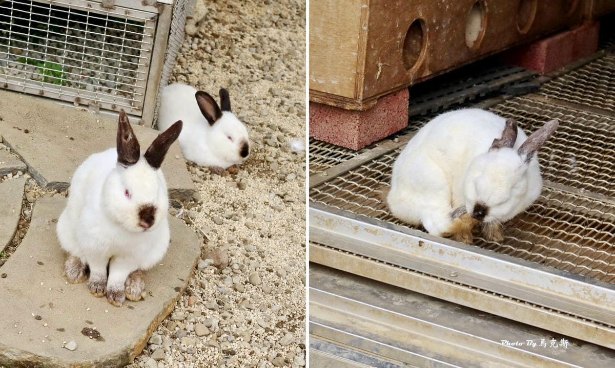 IMG_9415_調整大小.jpg IMG_9415_調整大小.jpg