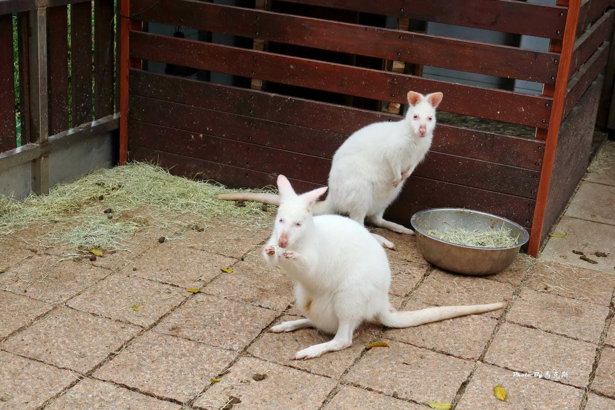 IMG_9387_調整大小.jpg IMG_9387_調整大小.jpg