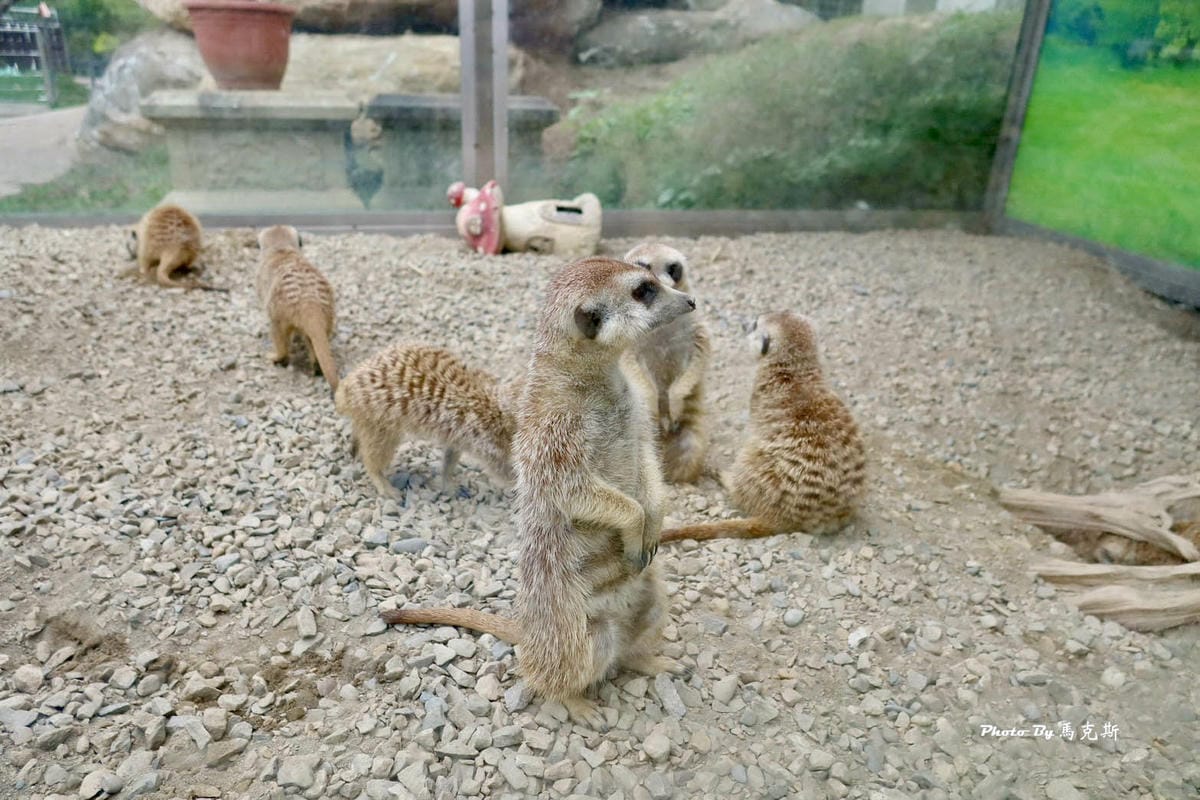 IMG_9383_調整大小 (2).jpg IMG_9383_調整大小 (2).jpg