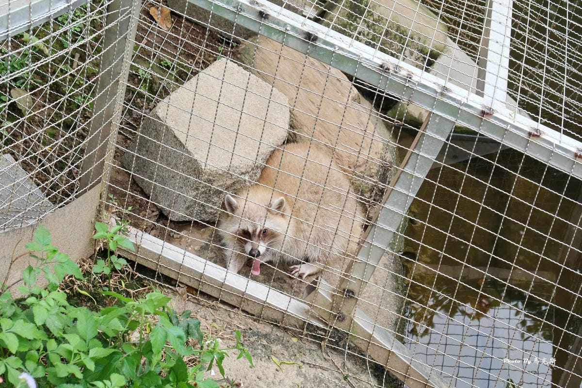 IMG_9430_調整大小 (2).jpg IMG_9430_調整大小 (2).jpg