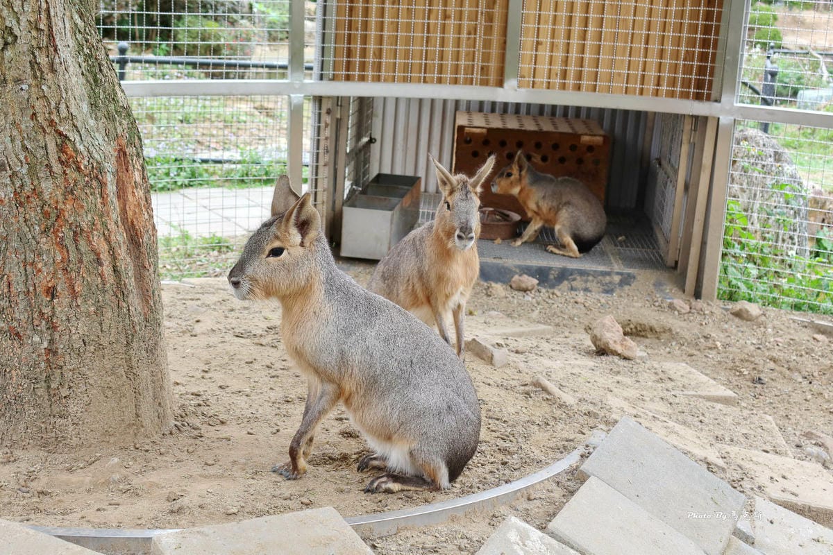 IMG_9425_調整大小.jpg IMG_9425_調整大小.jpg