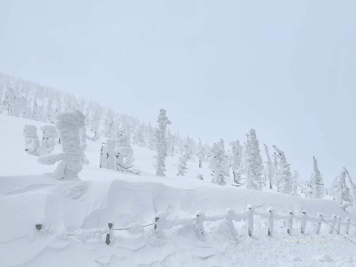 IMG_7360_調整大小.jpg IMG_7360_調整大小.jpg