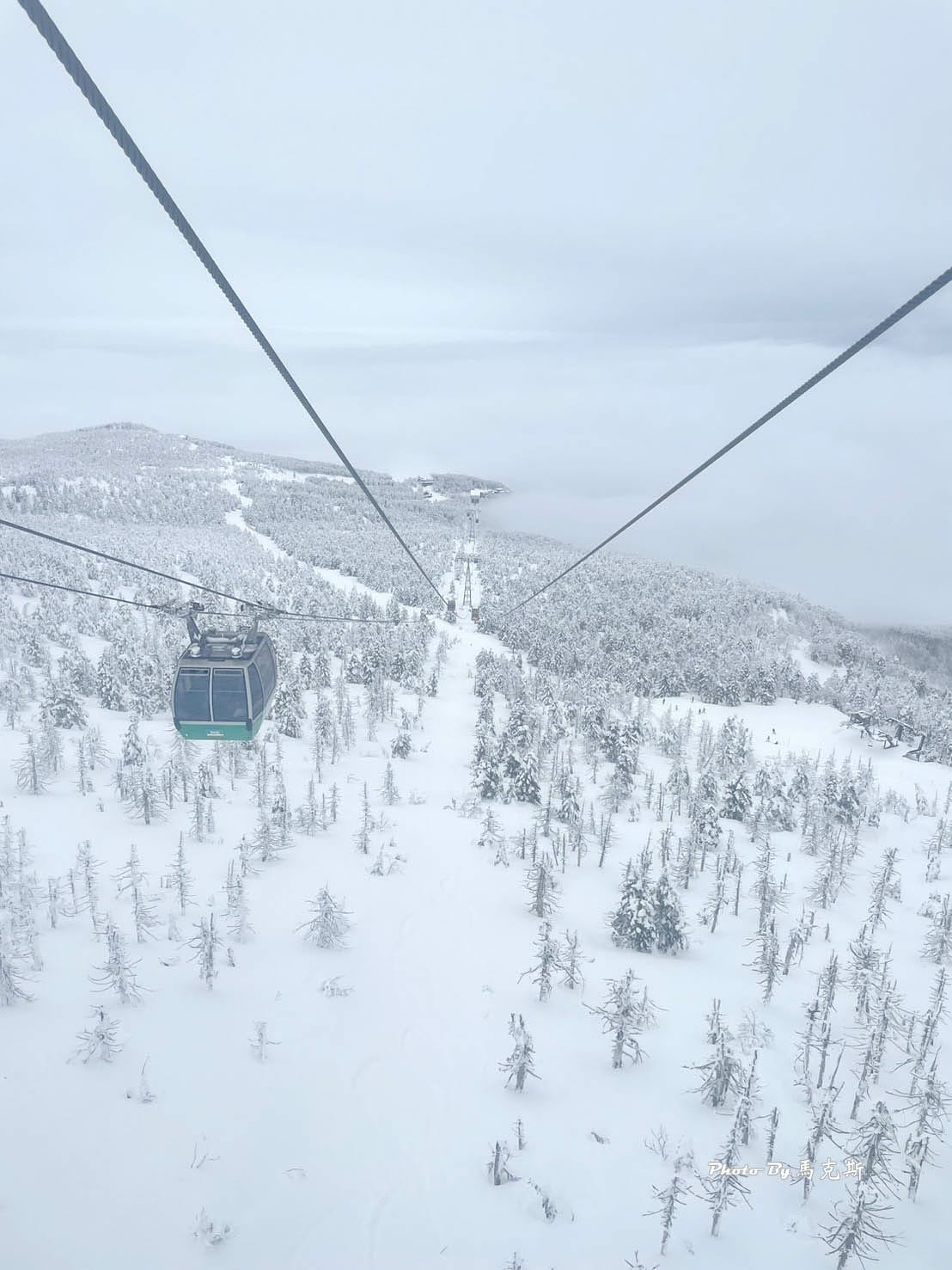 IMG_7443_調整大小.jpg IMG_7443_調整大小.jpg