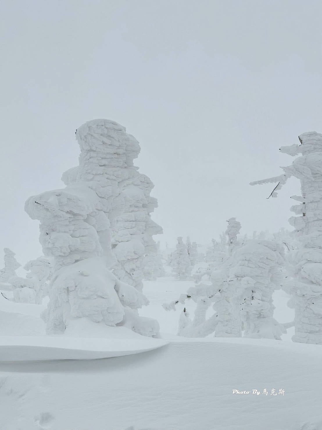 IMG_7364_調整大小 (2).jpg IMG_7364_調整大小 (2).jpg