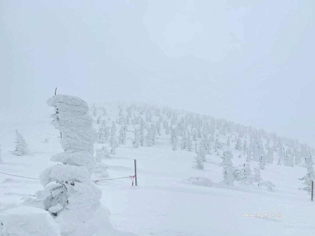 IMG_7362_調整大小.jpg IMG_7362_調整大小.jpg