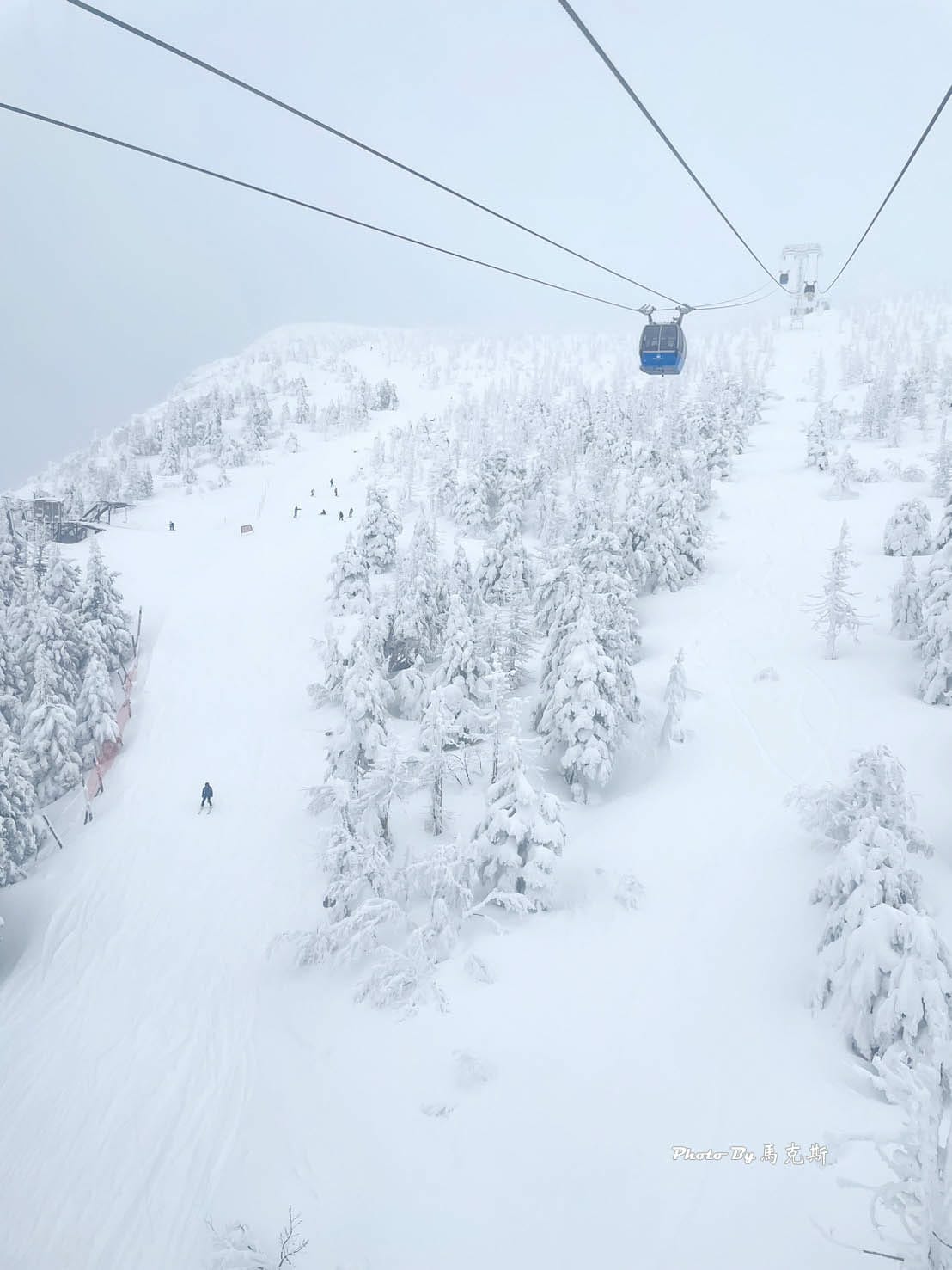 IMG_7353_調整大小.jpg IMG_7353_調整大小.jpg