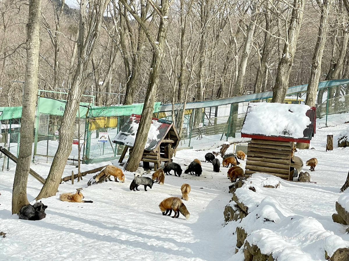 IMG_3570_調整大小.jpg IMG_3570_調整大小.jpg