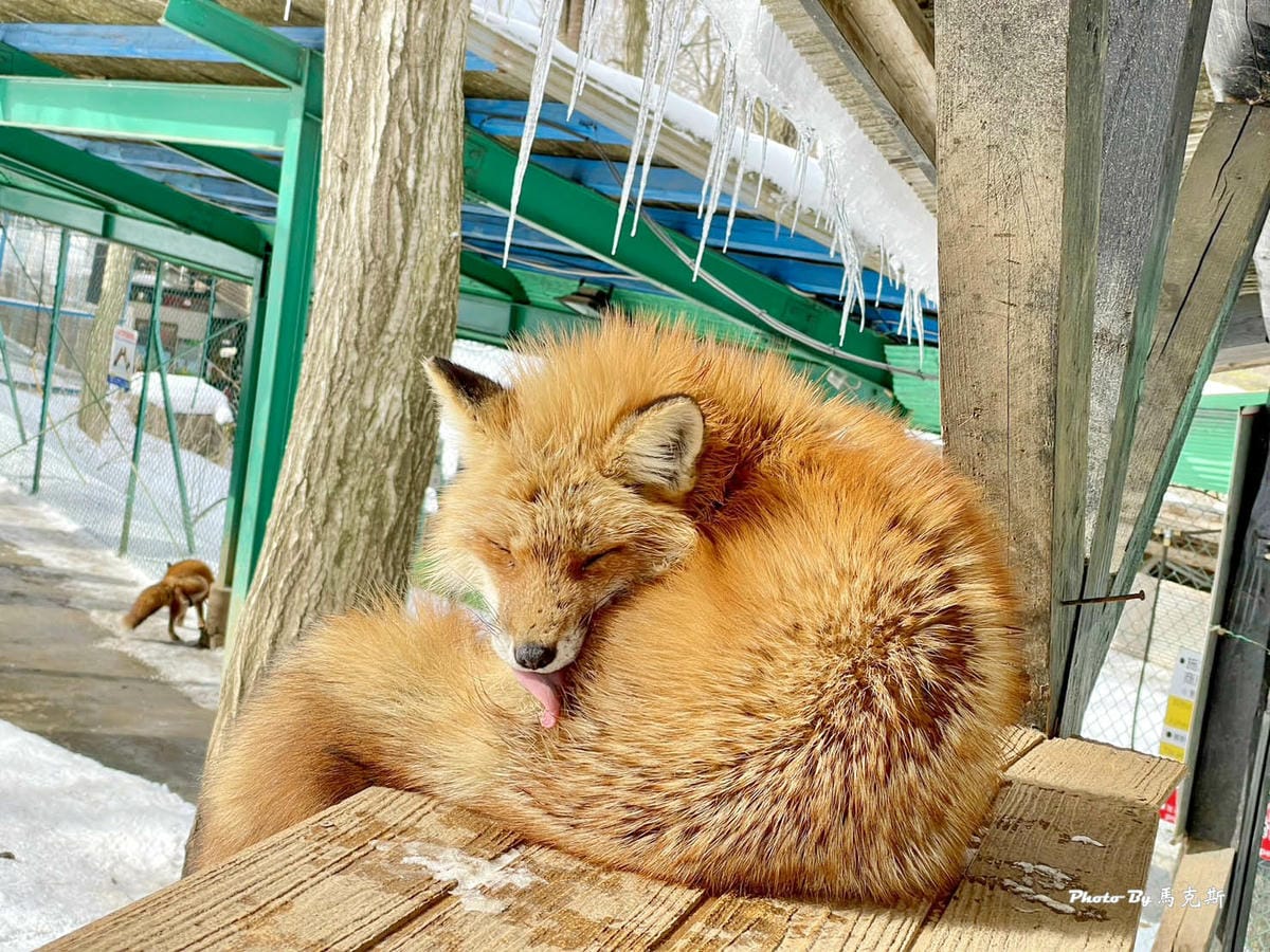 IMG_3573_調整大小.jpg IMG_3573_調整大小.jpg