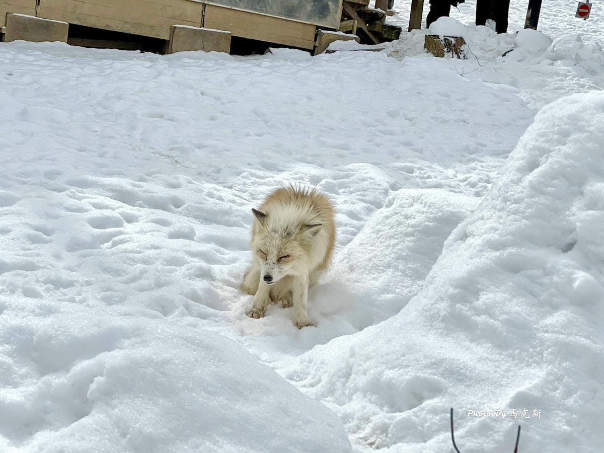 IMG_8057_調整大小.jpg IMG_8057_調整大小.jpg