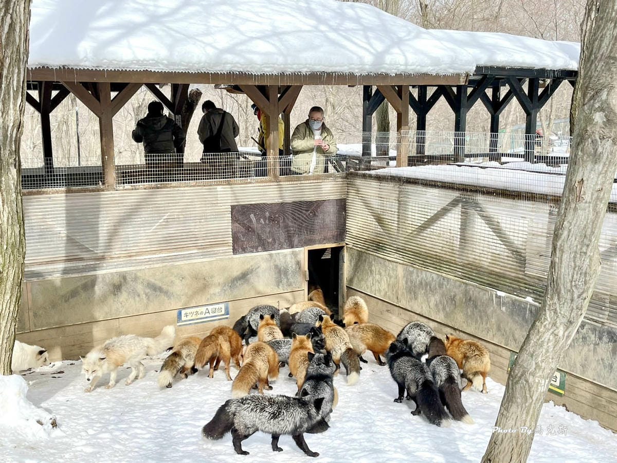 IMG_8088_調整大小.jpg IMG_8088_調整大小.jpg