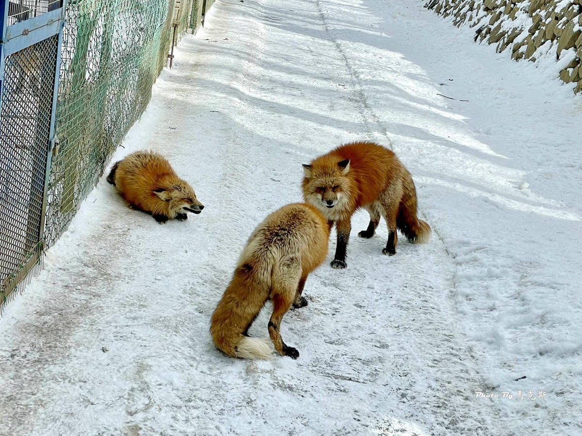 IMG_8076_調整大小.jpg IMG_8076_調整大小.jpg